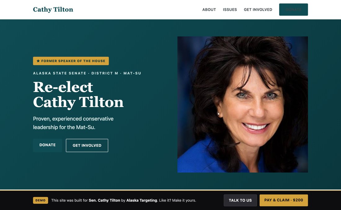 Preview of the Cathy Tilton campaign website